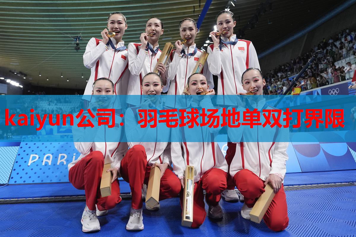 羽毛球场地单双打界限