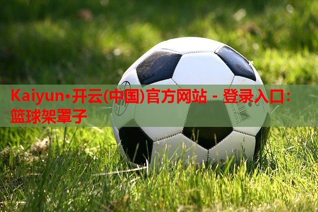 篮球架罩子