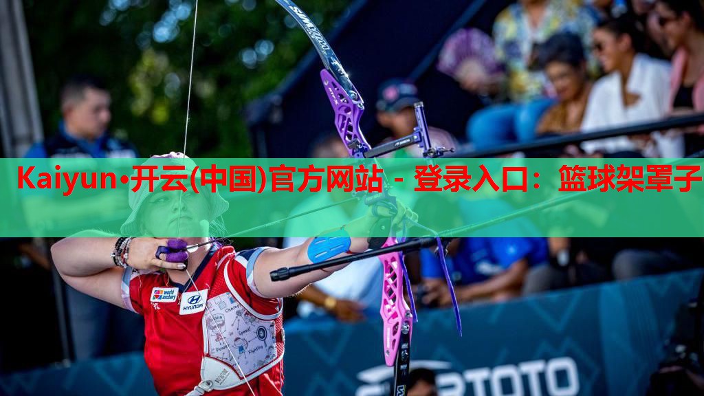篮球架罩子