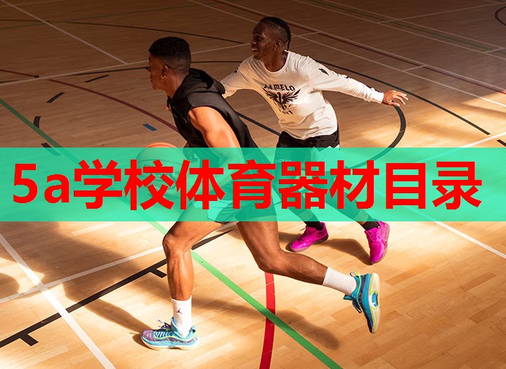 5a学校体育器材目录