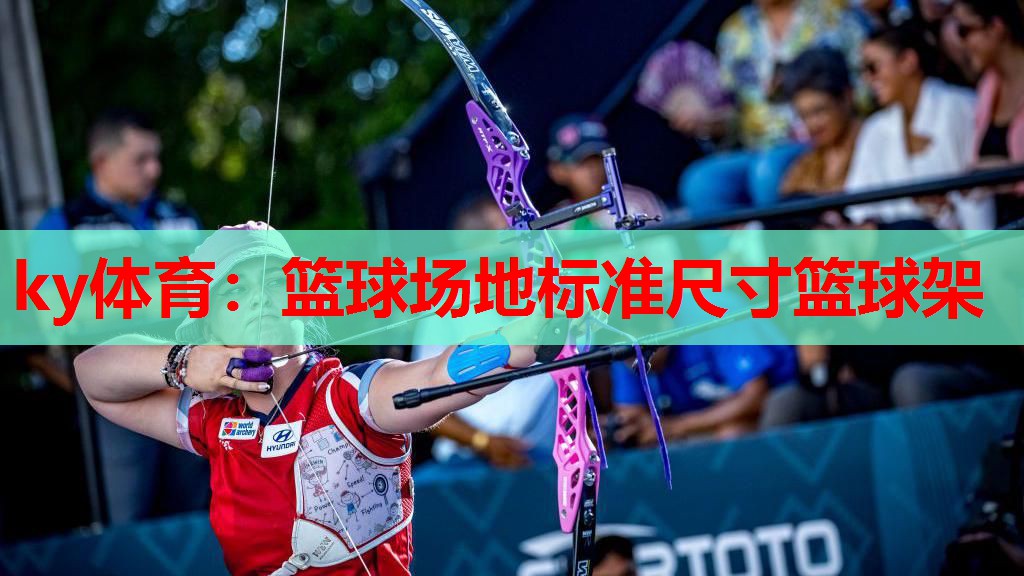 篮球场地标准尺寸篮球架