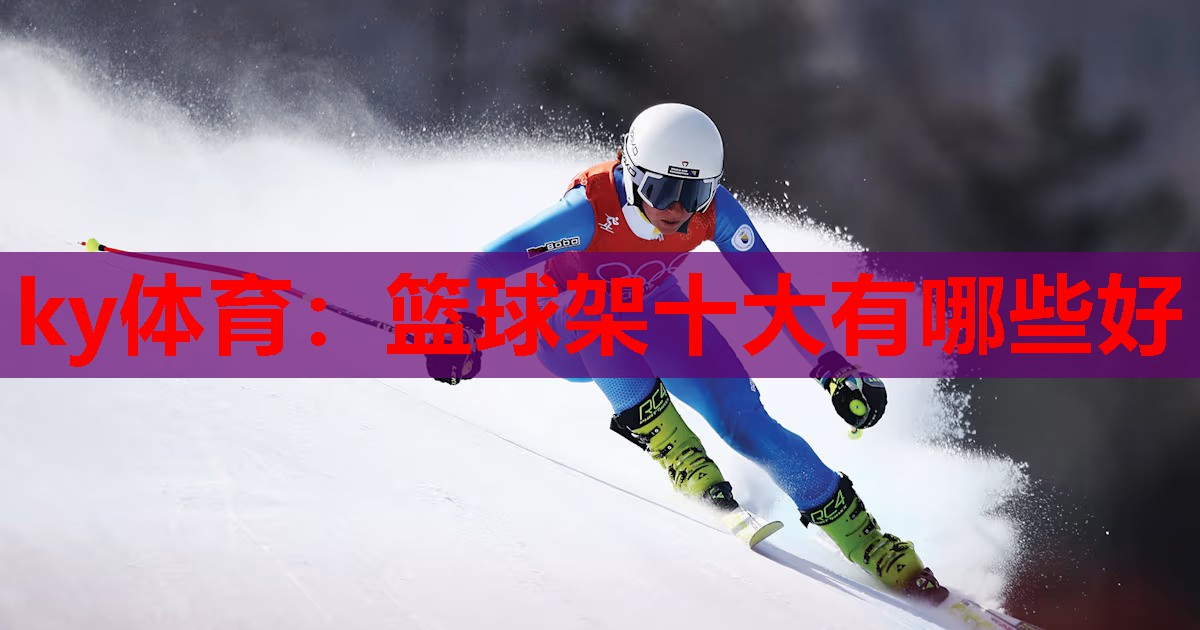 篮球架十大有哪些好