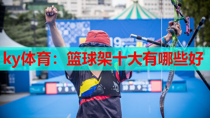 篮球架十大有哪些好