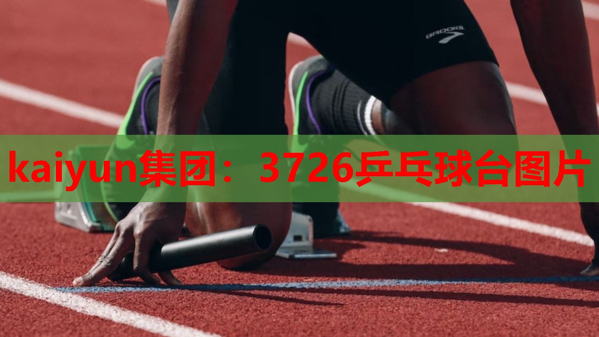 3726乒乓球台图片
