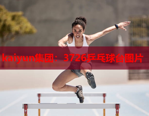 3726乒乓球台图片