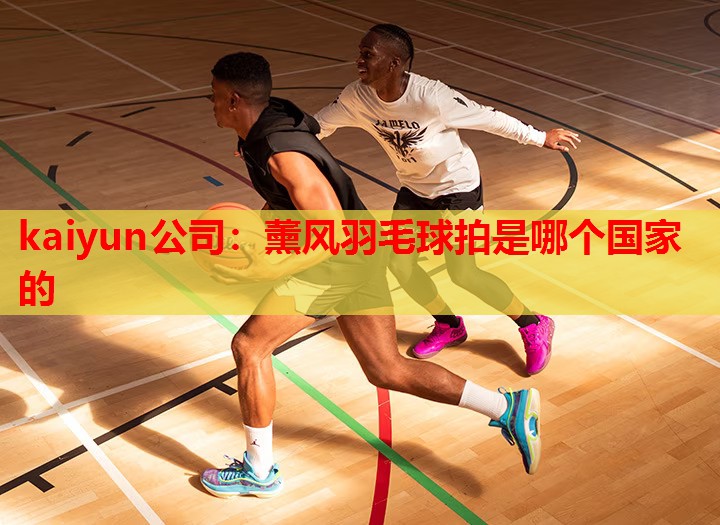 薰风羽毛球拍是哪个国家的