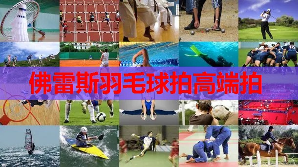 佛雷斯羽毛球拍高端拍