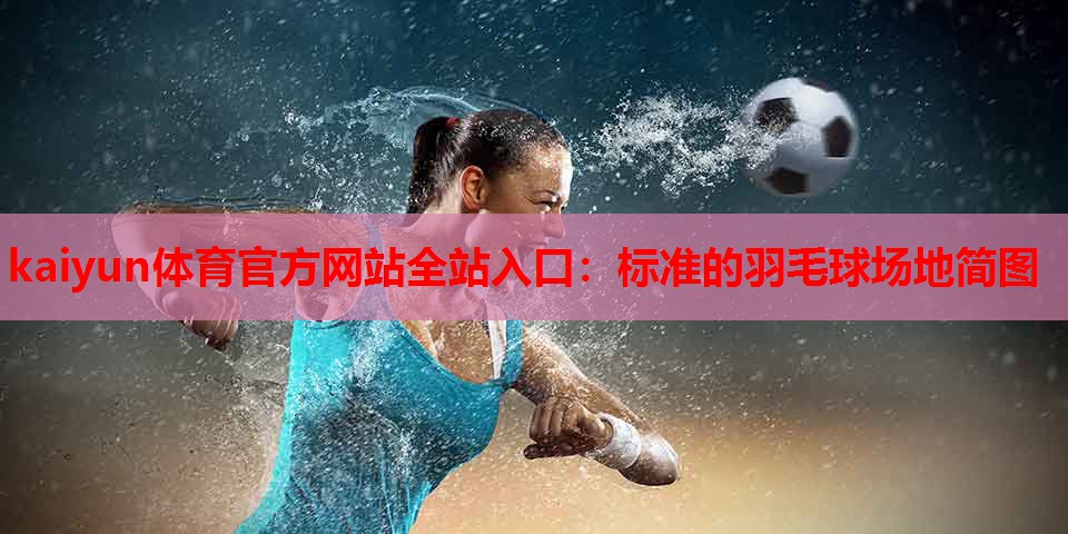 标准的羽毛球场地简图